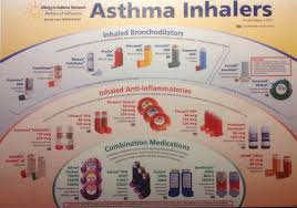 Apexcharts gives control to set color of every element of the chart. Copd Inhaler Comparison Copd Blog P