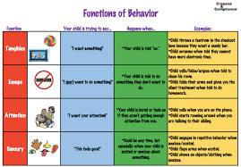 functions of behavior paing