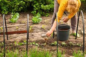 organic liquid lawn fertilizer