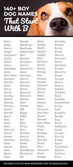 140 brilliant boy dog names that start