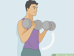 How To Get Bigger Biceps 14 Steps With Pictures Wikihow