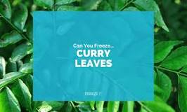 Can curry Patta be frozen?