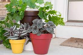 how to paint flower pots for outdoors