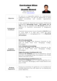 Sample Template of an Excellent Experienced Chartered Accountant Resume  Sample with Great Career Objective and Job