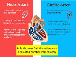 The terms heart attack and cardiac arrest are often used interchangeably, but they are very different conditions. What Is The Difference Between A Cardiac Arrest And A Heart Attack Info Arenas