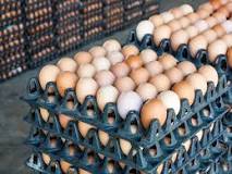 Why do Italians not refrigerate eggs?