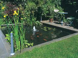 benefits of having a garden pond
