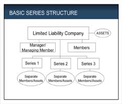 Filing an operating agreement ensures the llc owners' personal assets will be protected from business liability. Https Pdf4pro Com File D6431 Notes Seriesllcpresentation Bertstarr Pdf Pdf