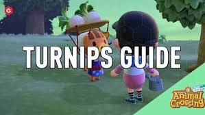 Where as a noun clause and object. Animal Crossing New Horizons Turnip Prices Guide And How To Make Lots Of Bells