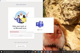 How to download and install microsoft teams on your pc and mac. Microsoft Teams Not Working Stops At Login Microsoft Community