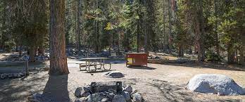 The national park service operates all campgrounds in sequoia & kings canyon. Lodgepole Campground Sequoia Kings Canyon National Parks U S National Park Service