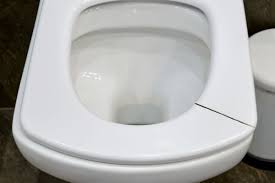 Top Tips To Repair Your Toilet Seat