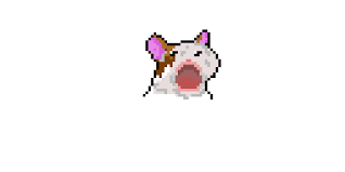 cat open mouth meme pixel art