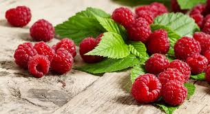 Yes, raspberries are safe for dogs to eat, but they should be given in moderation. Can Dogs Have Raspberries A Food Safety Guide