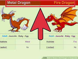How To Breed A Gold Dragon In Dragonvale 5 Steps With