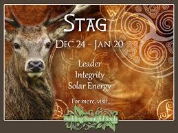 Your astrological symbol is the water bearer. Stag Or Deer Celtic Zodiac Sign Meanings Traits Personality Compatibility Celtic Astrology