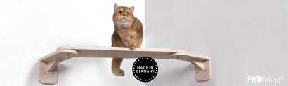 catwalks for cats wall mounted