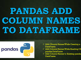 pandas add column names to dataframe