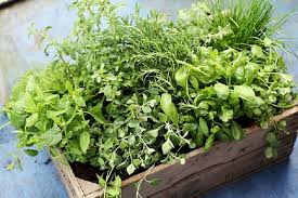 how to make the perfect herb planter