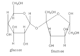 molecule of sucrose is hydrolyzed