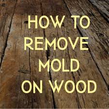 Mold On Wood Crafty