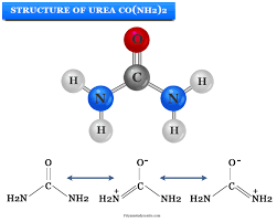 urea formula uses structure ion