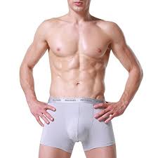 Mens Separate Pouch Trunks Micro Modal Elastic Sport Boxer