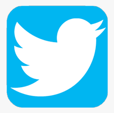 Image - Transparent Twitter Icon Png, Png Download , Transparent Png Image - PNGitem