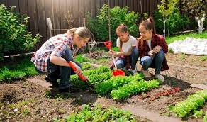 Gardening For Kids Fun Garden Ideas