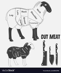 British Cuts Of Lamb Or Animal Diagram Meat