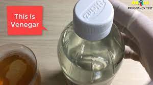 pregnancy test at home with vinegar