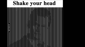 shake your head illusion clip you