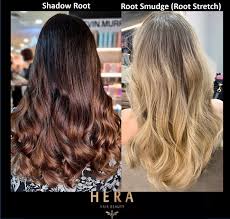 shadow root vs root smudge root