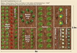 Vegetable Garden Plans Layout Ideas