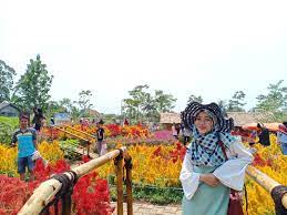 Taman bunga kampung jambu ini bisa memperkaya daftar tujuan wisatamu di pandeglang. Menikmati Pesona Keindahan Wisata Taman Bunga Pandeglang Di Banten Amazing Indonesia