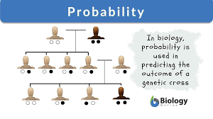 prolity definition and exles