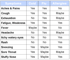 When Is Allergy Season In Texas Piatx