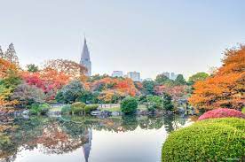 autumn 2016 shinjuku gyoen national
