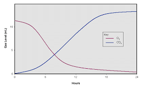 Biology Graphs Carbon Dioxide And Oxygen