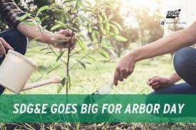 SDG&E Goes BIG for Arbor Day