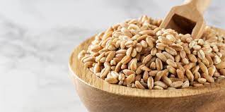 what is farro all about the grain and