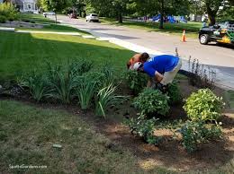 Managing Water With Rain Gardens And