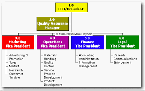 Functional Organizational Chart Template Cross Functional