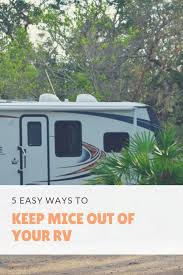 5 ways to keep mice out of your rv rv