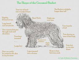 Hickory Tavern Farm Barbet Barbet Grooming Chart