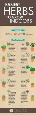 how to start growing herbs indoors hno at