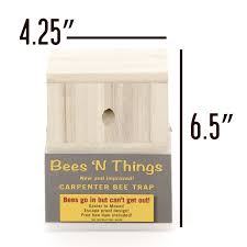 carpenter bee trap in the insect traps