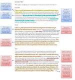 Image result for how to write an international human rights lawyer essay