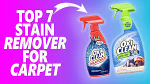best carpet stain remover reviews top