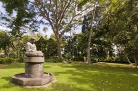 Keressen foster botanical gardens honolulu large grass témájú hd stockfotóink és több millió jogdíjmentes fotó, illusztráció és vektorkép között a shutterstock gyűjteményében. The Best Botanical Gardens On Oahu